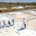 Lägenhet Les Pins - 3 Pieces - Vue Sur Piscine - 600m - D'olonne Les Sables-dʼOlonne