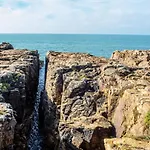 Les Pins - 3 Pieces - Vue Sur Piscine - 600m - D'olonne Les Sables-dʼOlonne