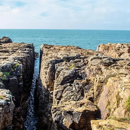 Les Pins - 3 Pieces - Vue Sur Piscine - 600m - D'olonne 莱萨布勒-多洛讷