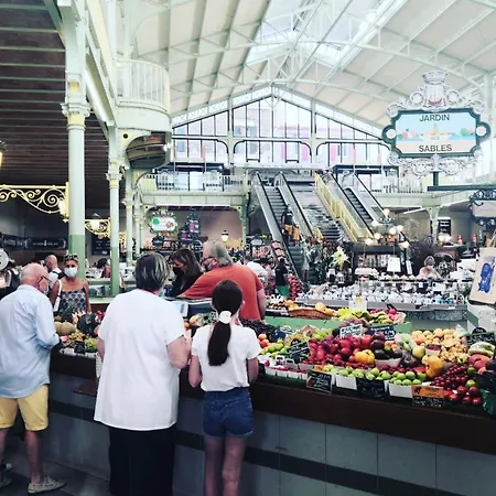 公寓 Les Pins - 3 Pieces - Vue Sur Piscine - 600m - D'olonne *