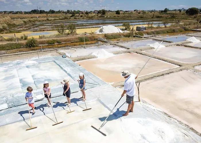 דירה Les Pins - 3 Pieces - Vue Sur Piscine - 600m - D'olonne Les Sables-dʼOlonne