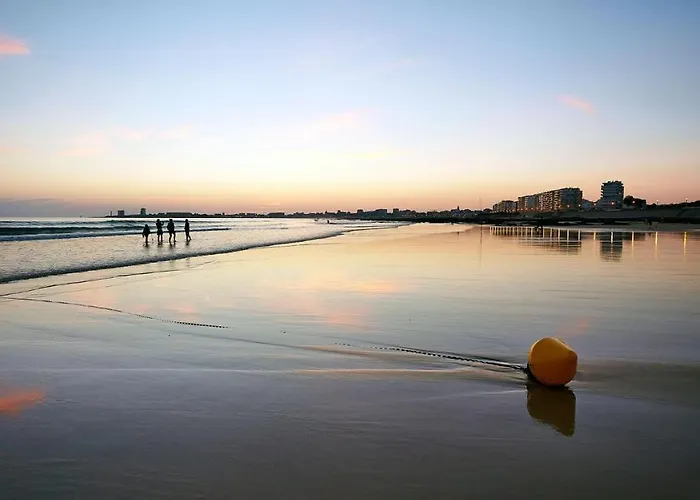 Les Pins - 3 Pieces - Vue Sur Piscine - 600m - D'olonne דירה Les Sables-dʼOlonne